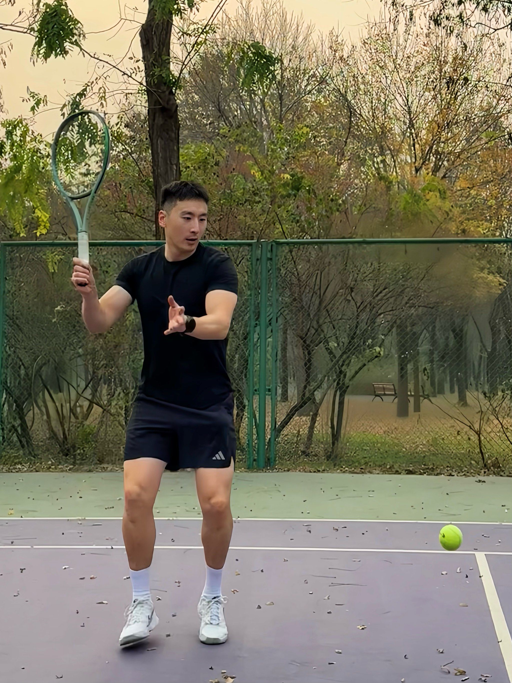 狼依靠快速 狼依靠快速